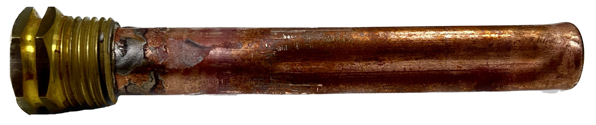 29551.jpg