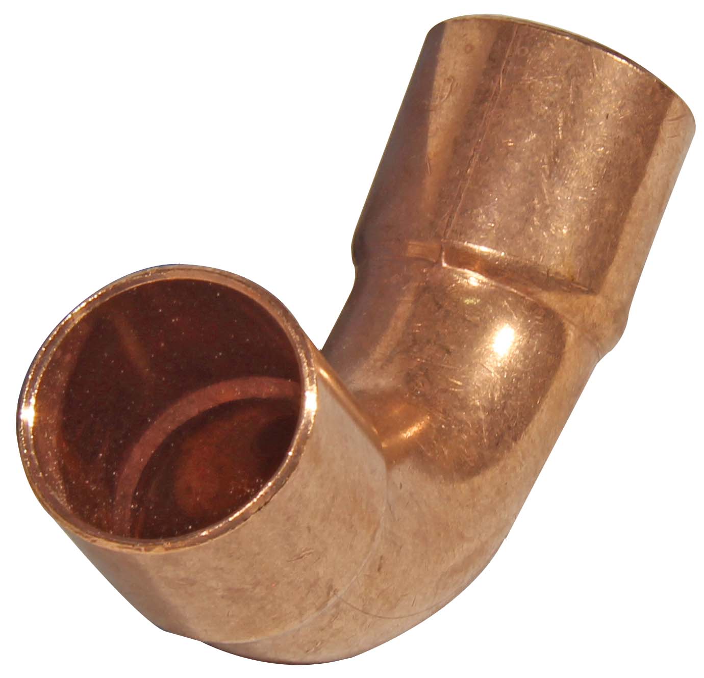 447.jpg