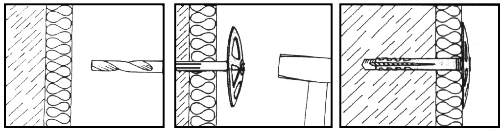 561.jpg