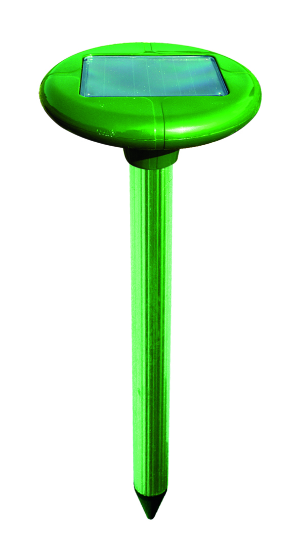 6453.jpg